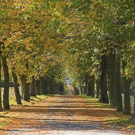 Baynunah Drachenfels Königswinter